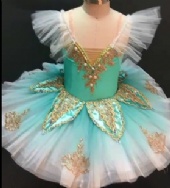 Decorated Performance Tutu Praatise Tutu