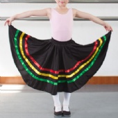 Character Skirt Ballet Skirt Practise Dress