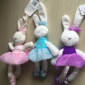 Beautiful Ballet Bunny